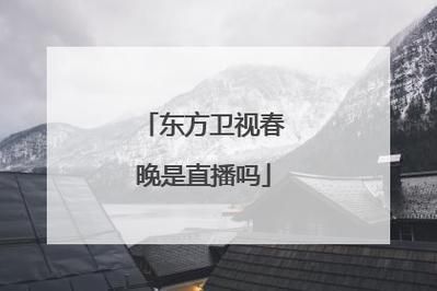 东方卫视直播在线观看回放(东方卫视在线直播节目回放)